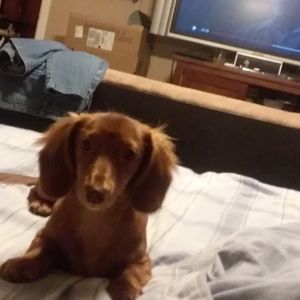 Meet your Posher, Jay